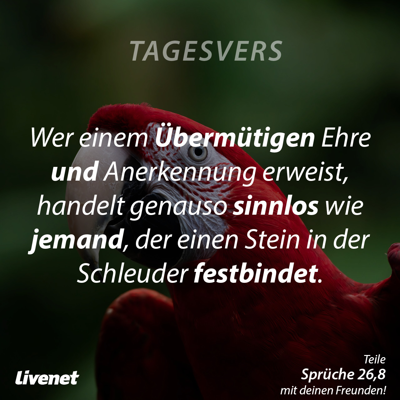 Tagesvers