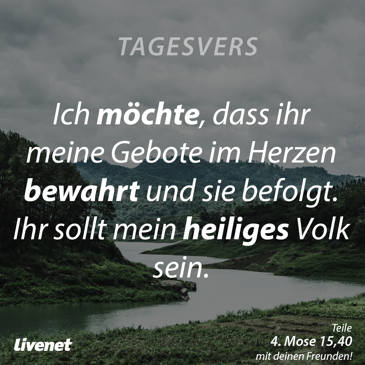 Tagesvers