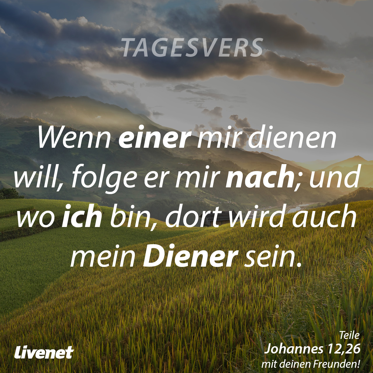 Tagesvers